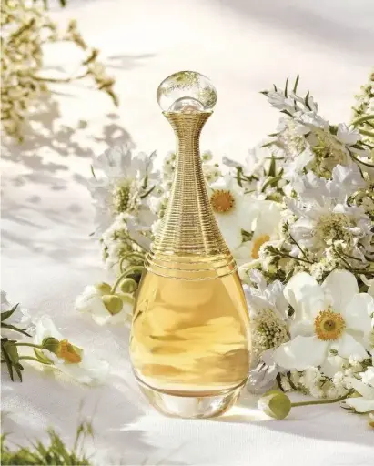 Dior J'adore EDP 100ml